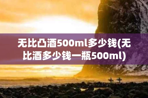 无比凸酒500ml多少钱(无比酒多少钱一瓶500ml)