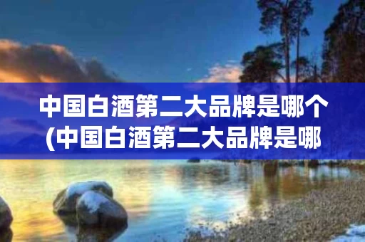 中国白酒第二大品牌是哪个(中国白酒第二大品牌是哪个公司)