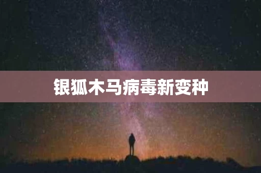 银狐木马病毒新变种