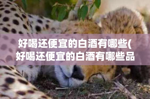 好喝还便宜的白酒有哪些(好喝还便宜的白酒有哪些品种)