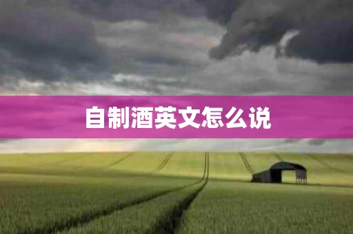 自制酒英文怎么说