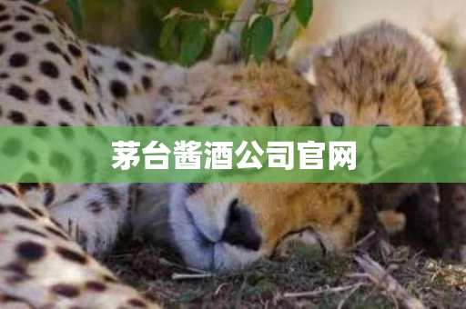 茅台酱酒公司官网