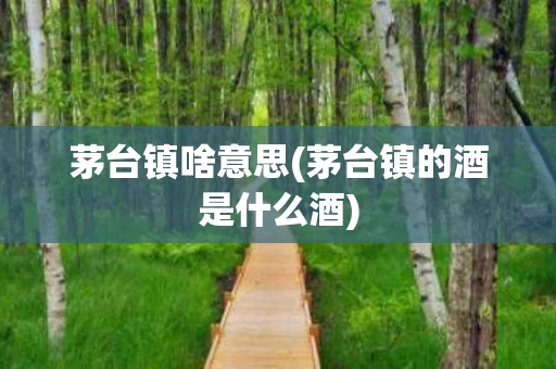 茅台镇啥意思(茅台镇的酒是什么酒)
