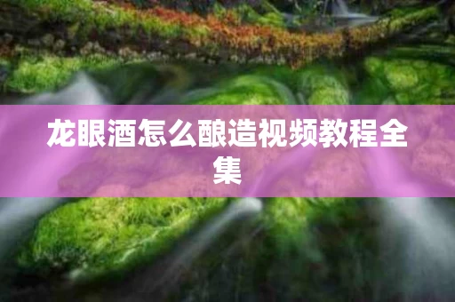 龙眼酒怎么酿造视频教程全集