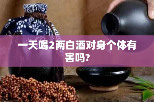 一天喝2两白酒对身个体有害吗?