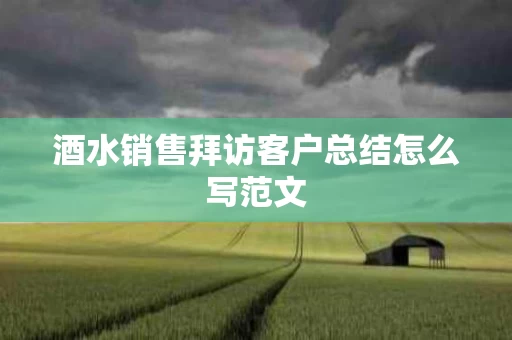 酒水销售拜访客户总结怎么写范文