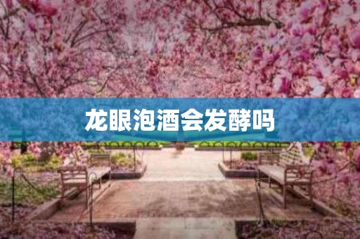 龙眼泡酒会发酵吗