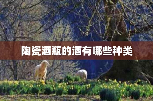 陶瓷酒瓶的酒有哪些种类