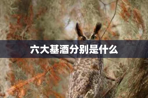 六大基酒分别是什么 六大基酒分别是什么