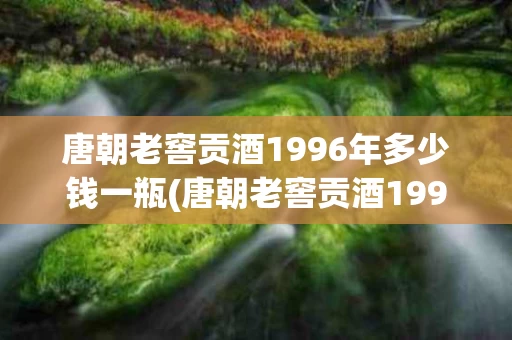 唐朝老窖贡酒1996年多少钱一瓶(唐朝老窖贡酒1996年多少钱一瓶酒)