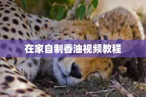 在家自制香油视频教程