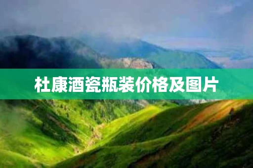 杜康酒瓷瓶装价格及图片