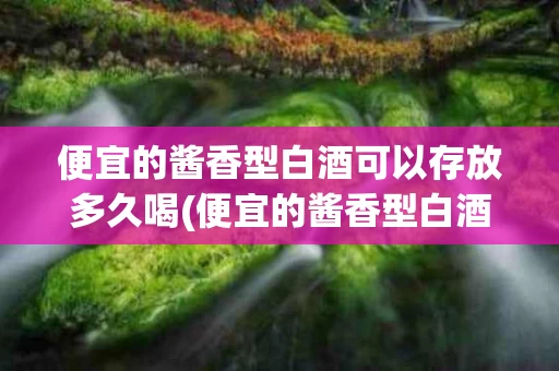 便宜的酱香型白酒可以存放多久喝(便宜的酱香型白酒可以存放多久喝呢)