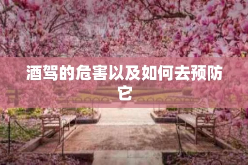 酒驾的危害以及如何去预防它