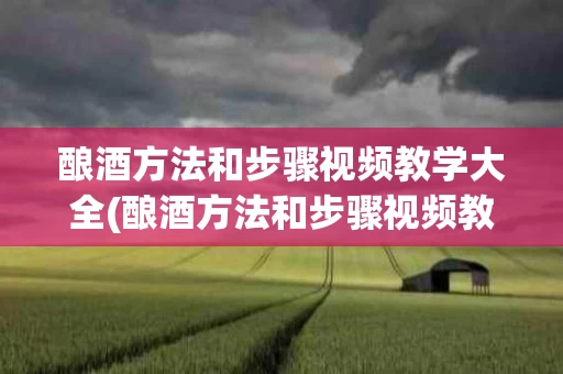 酿酒方法和步骤视频教学大全(酿酒方法和步骤视频教学大全图片)