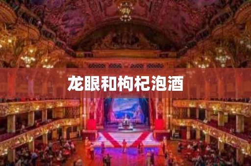 龙眼和枸杞泡酒
