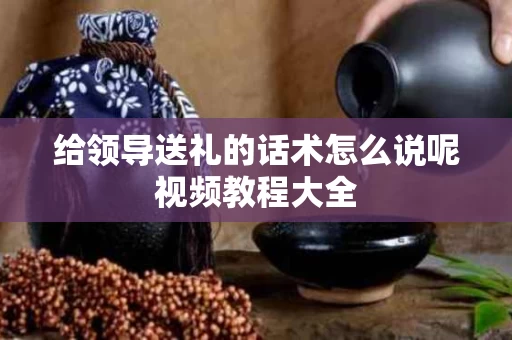 给领导送礼的话术怎么说呢视频教程大全