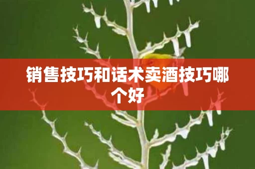 销售技巧和话术卖酒技巧哪个好