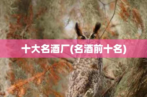 十大名酒厂(名酒前十名)