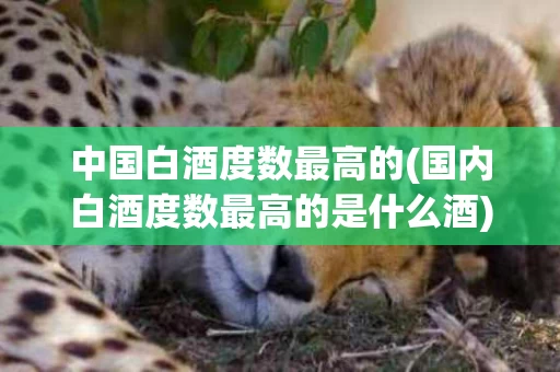 中国白酒度数最高的(国内白酒度数最高的是什么酒)