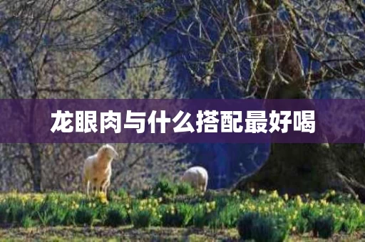 龙眼肉与什么搭配最好喝