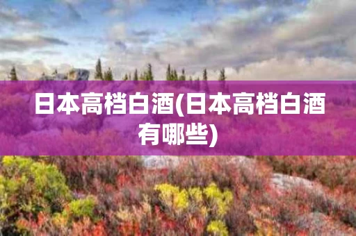 日本高档白酒(日本高档白酒有哪些)