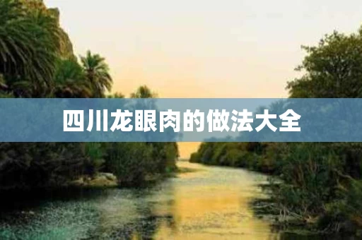 四川龙眼肉的做法大全