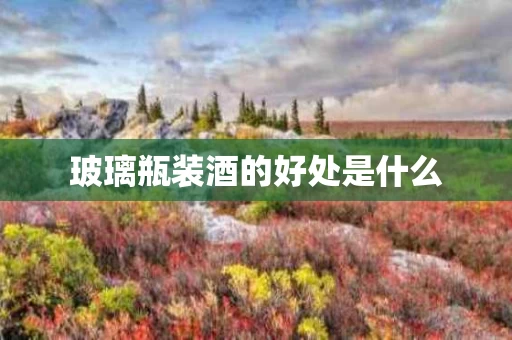 玻璃瓶装酒的好处是什么