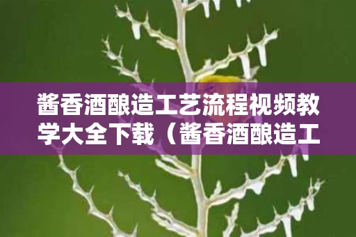 酱香酒酿造工艺流程视频教学大全下载（酱香酒酿造工艺流程视频教学大全下载安装）