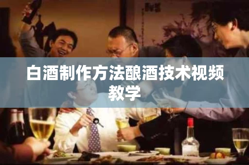 白酒制作方法酿酒技术视频教学