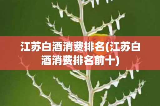 江苏白酒消费排名(江苏白酒消费排名前十)