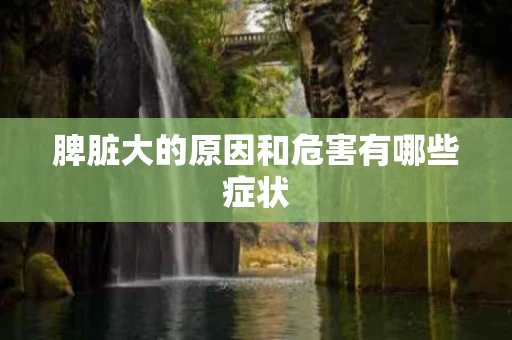 脾脏大的原因和危害有哪些症状