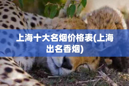 上海十大名烟价格表(上海出名香烟)