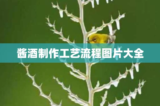 酱酒制作工艺流程图片大全