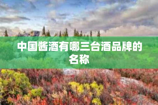 中国酱酒有哪三台酒品牌的名称