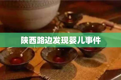 陕西路边发现婴儿事件