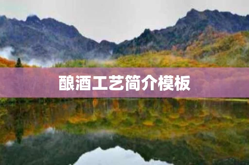 酿酒工艺简介模板