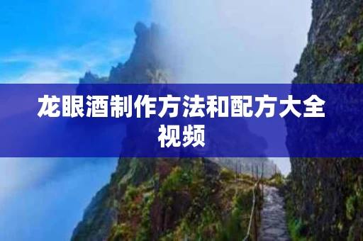 龙眼酒制作方法和配方大全视频