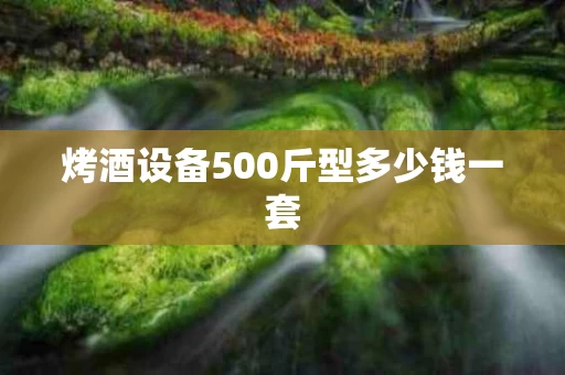 烤酒设备500斤型多少钱一套