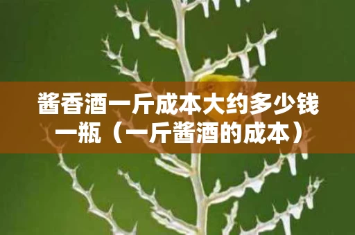 酱香酒一斤成本大约多少钱一瓶（一斤酱酒的成本）