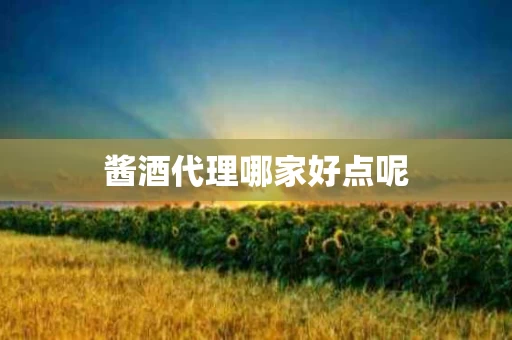 酱酒代理哪家好点呢