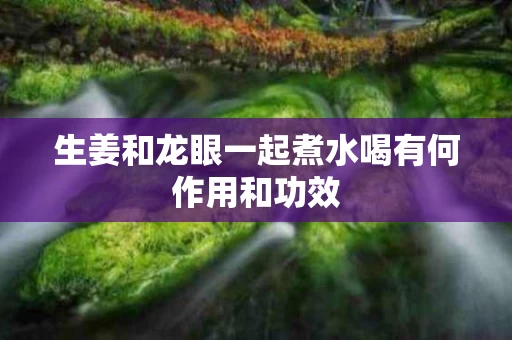 生姜和龙眼一起煮水喝有何作用和功效
