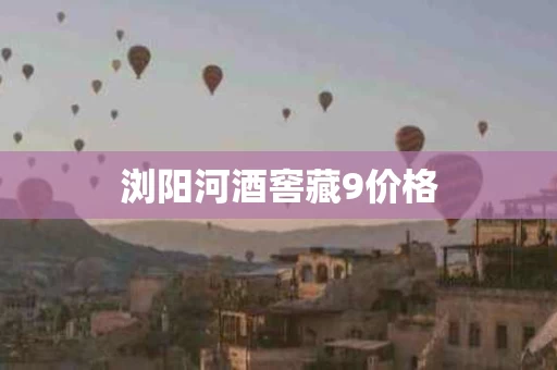 浏阳河酒窖藏9价格