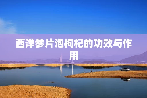 西洋参片泡枸杞的功效与作用