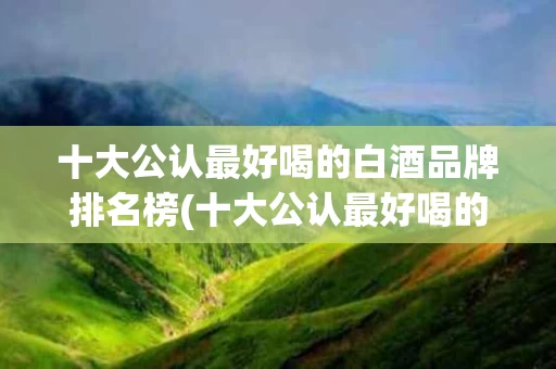 十大公认最好喝的白酒品牌排名榜(十大公认最好喝的白酒品牌排名榜单)