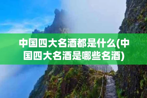 中国四大名酒都是什么(中国四大名酒是哪些名酒)