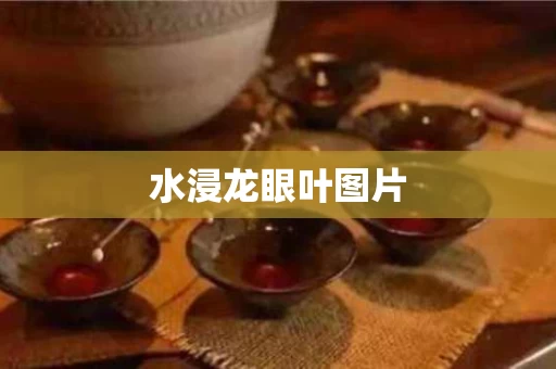 水浸龙眼叶图片