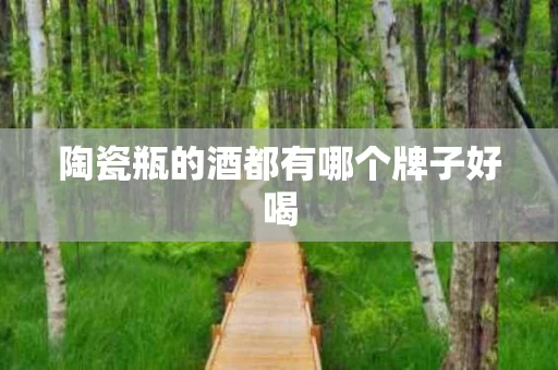 陶瓷瓶的酒都有哪个牌子好喝