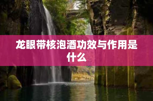 龙眼带核泡酒功效与作用是什么 龙眼带核泡酒功效与作用是什么