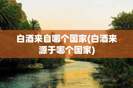 白酒来自哪个国家(白酒来源于哪个国家)